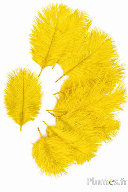 Struzzo Bellies - 8-13 cm - giallo-grigi